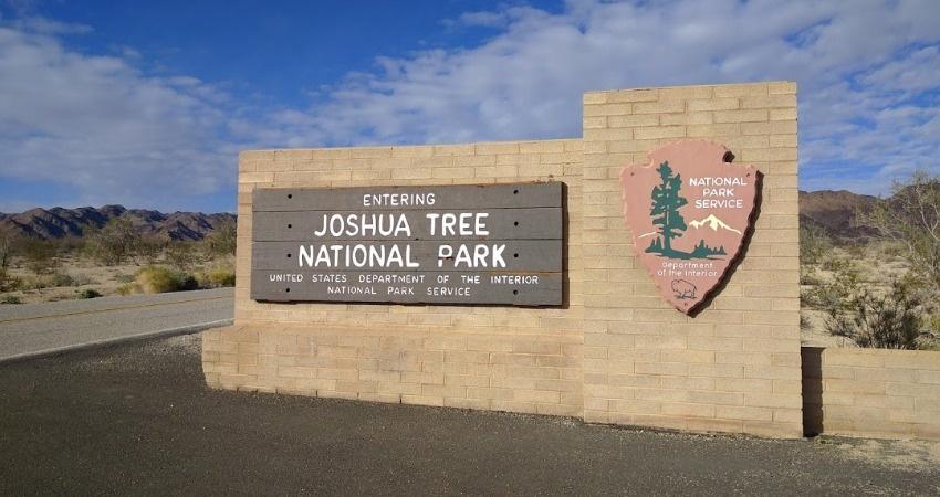 joshua tree sign trip